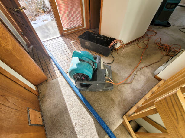 Trusted Water Damage Restoration in Butler, AL | Fast, Reliable, and Ready to Assist You